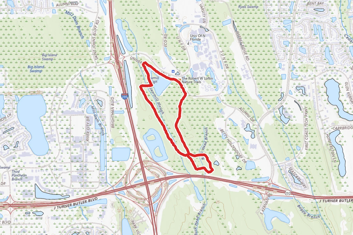 Goldenrod Loop
