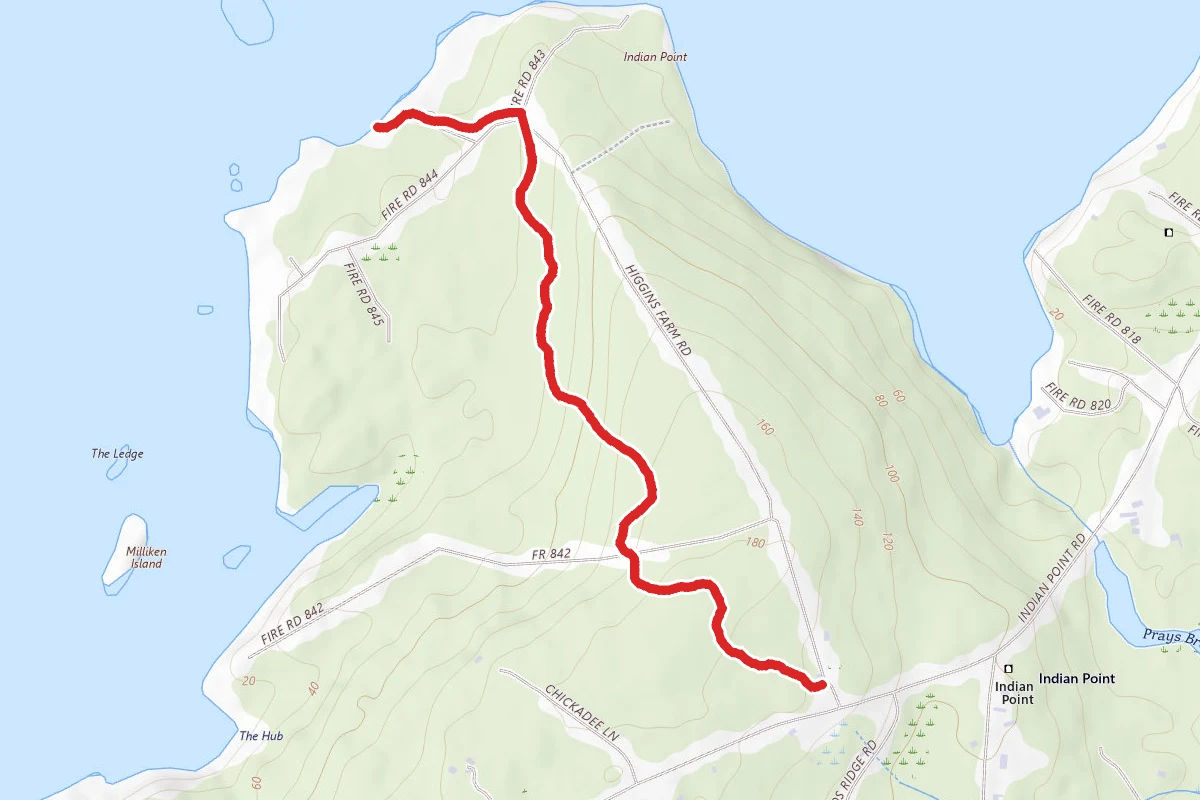 Big Wood and Shore Trail