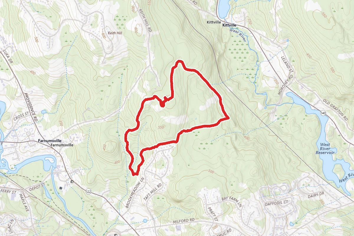 Hassanamesit Woods Trail