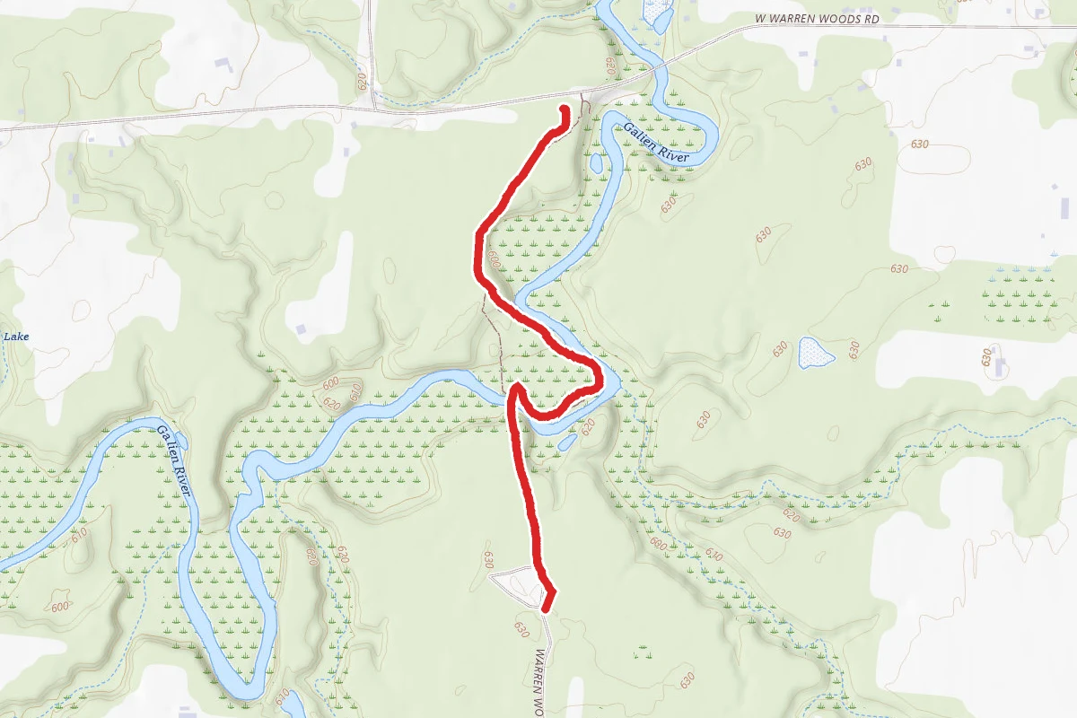 Warren Woods State Park Trail