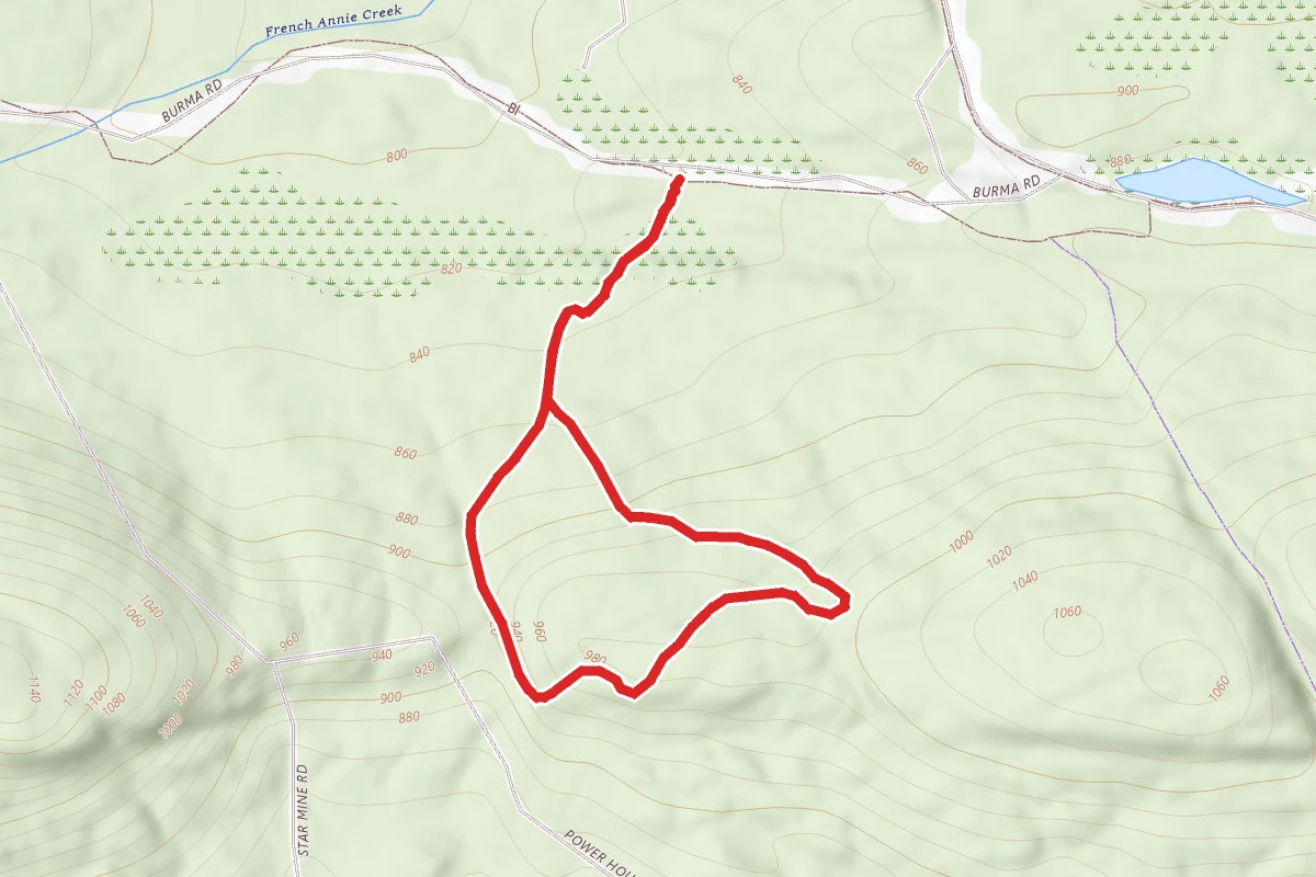 Estivant Pines Loop