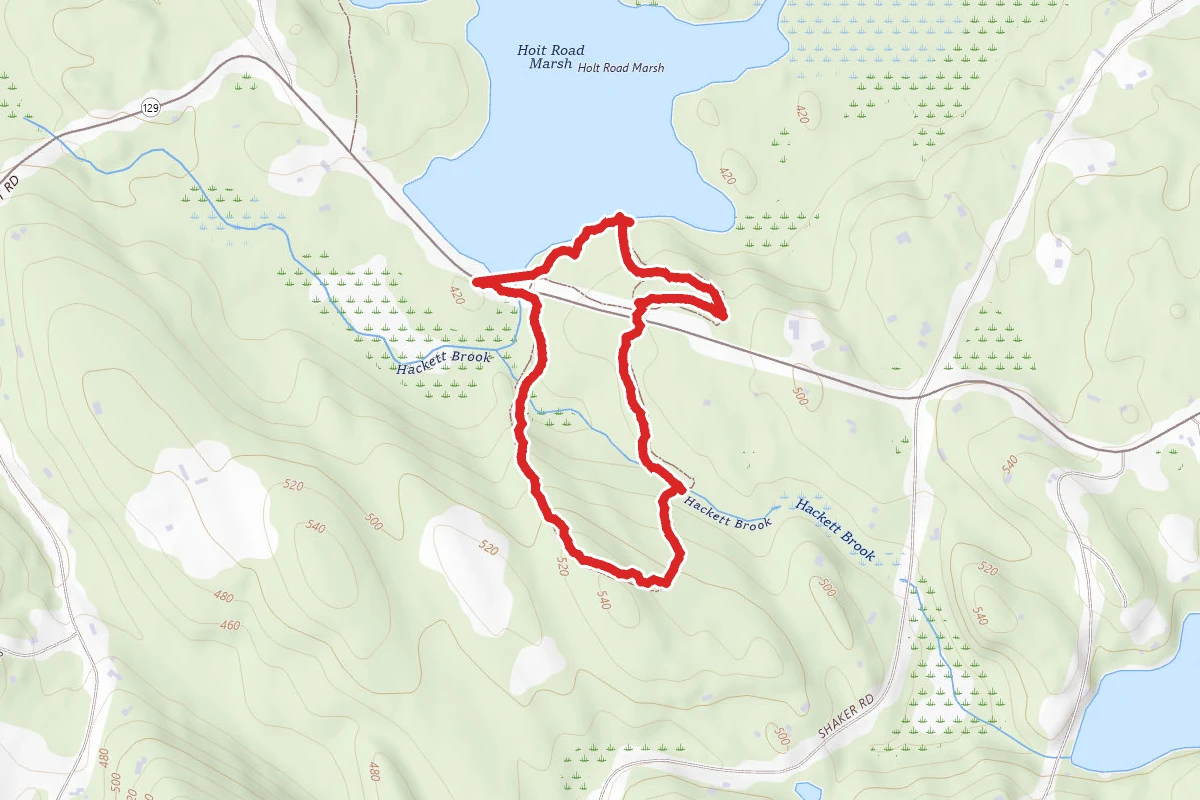 Hoit Road Marsh