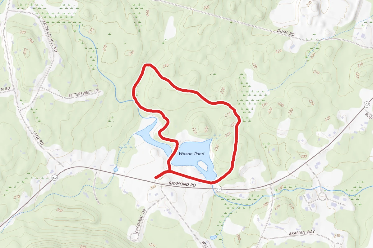 Wason Pond