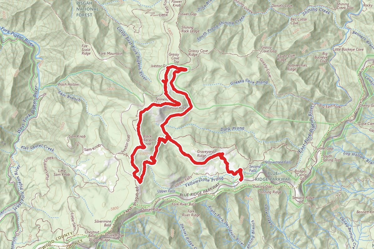 Black Balsam and Tennent Mountain Loop