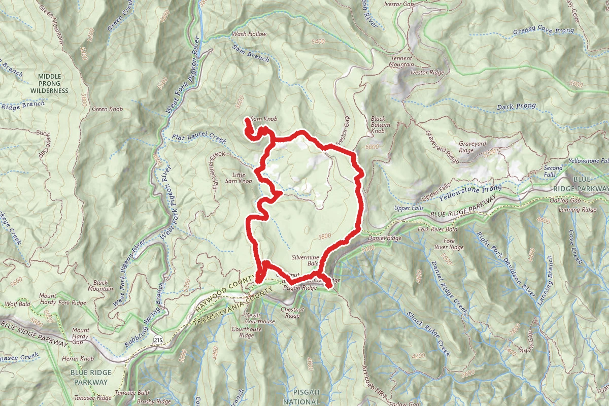 Sams Knob via Art Loeb Trail Loop