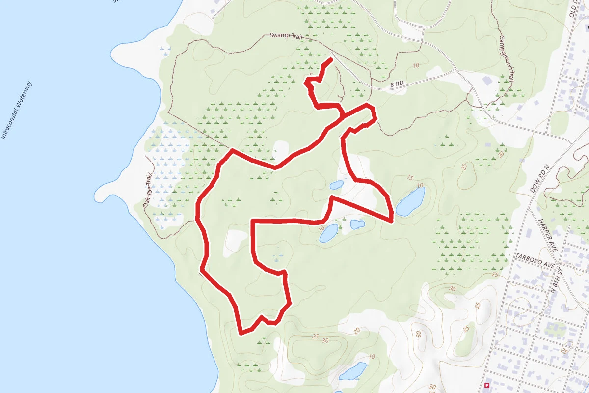 Venus Fly Trap to Sugarloaf Loop
