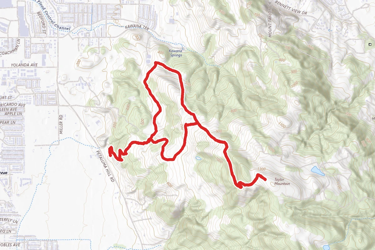 Taylor Mountain via Western, Eastern and Sky Lupine Trail