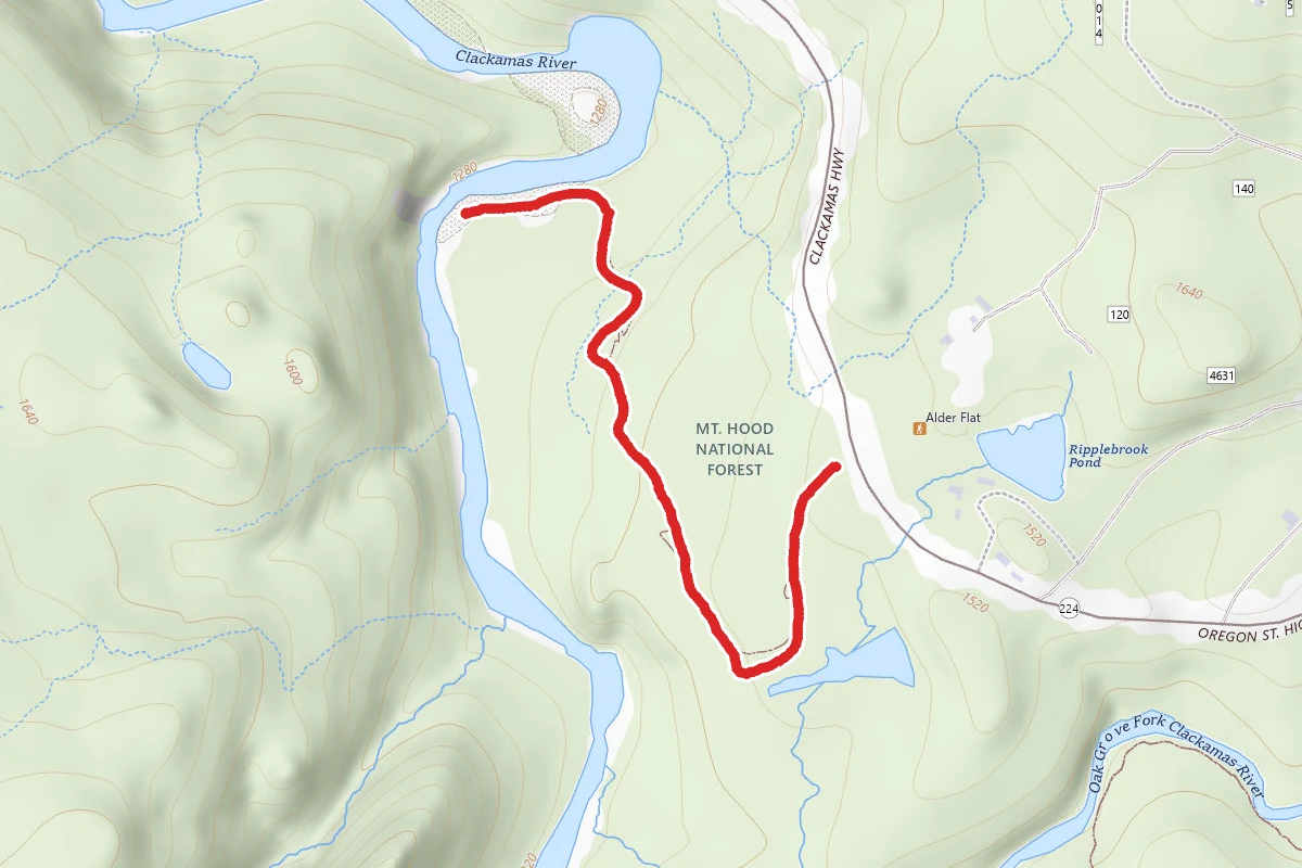 Alder Flat Trail