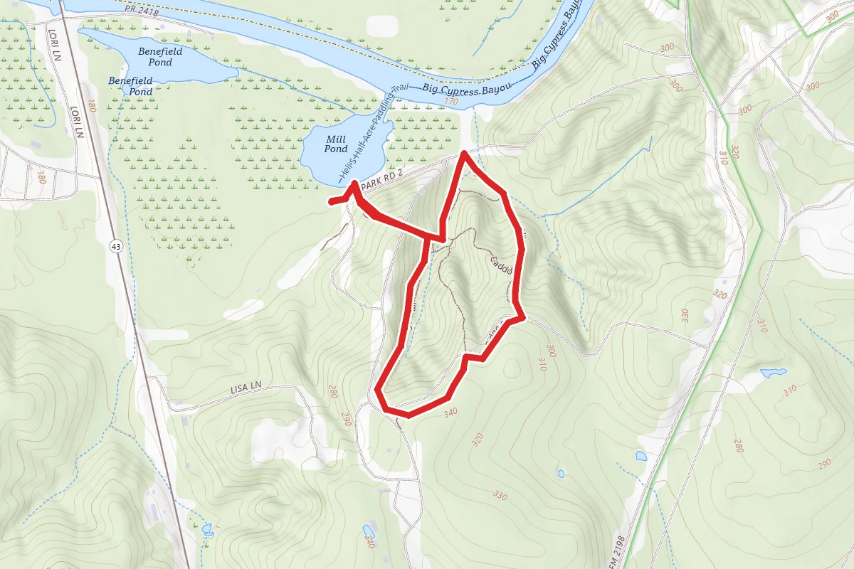 Caddo Lake State Park Canoe Trails