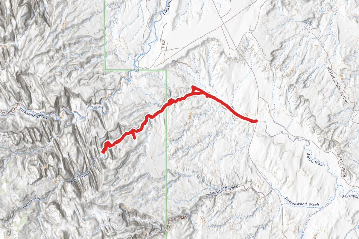 Burro Wash Trail
