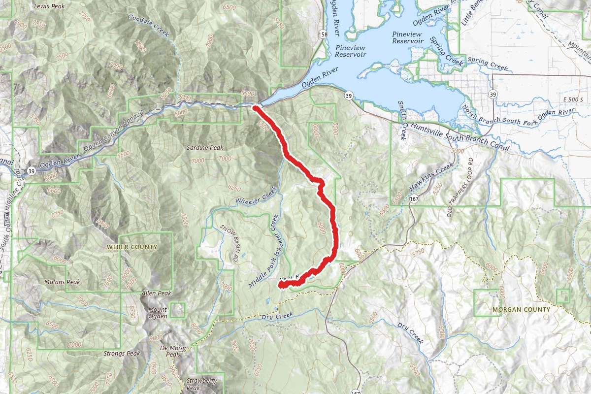 East Fork Wheeler Creek Wheeler Creek Trail