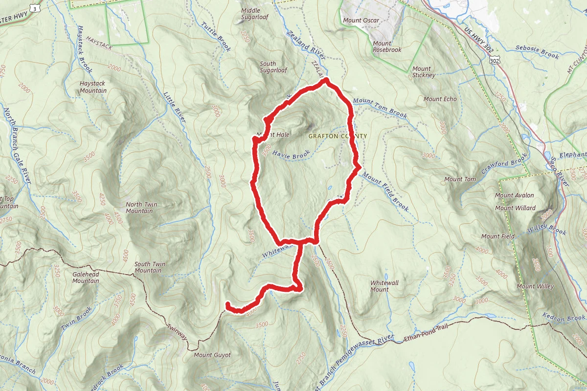 Mount Hale and Mount Zealand Loop via Hale Brook to Zealand Trail