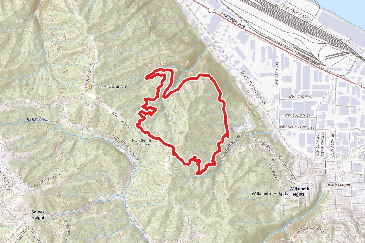 NW Leif Erikson, Alder, and Wild Cherry Trail Loop