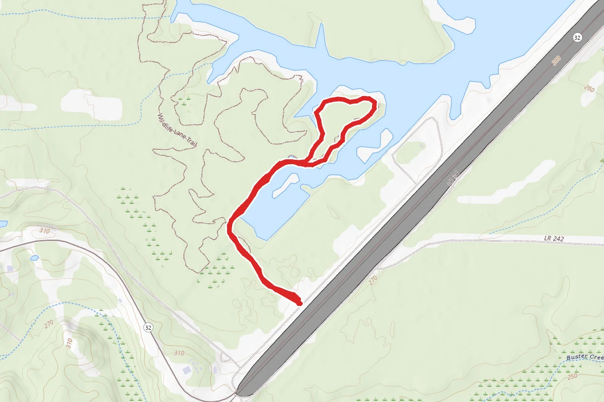 Waterfowl Way