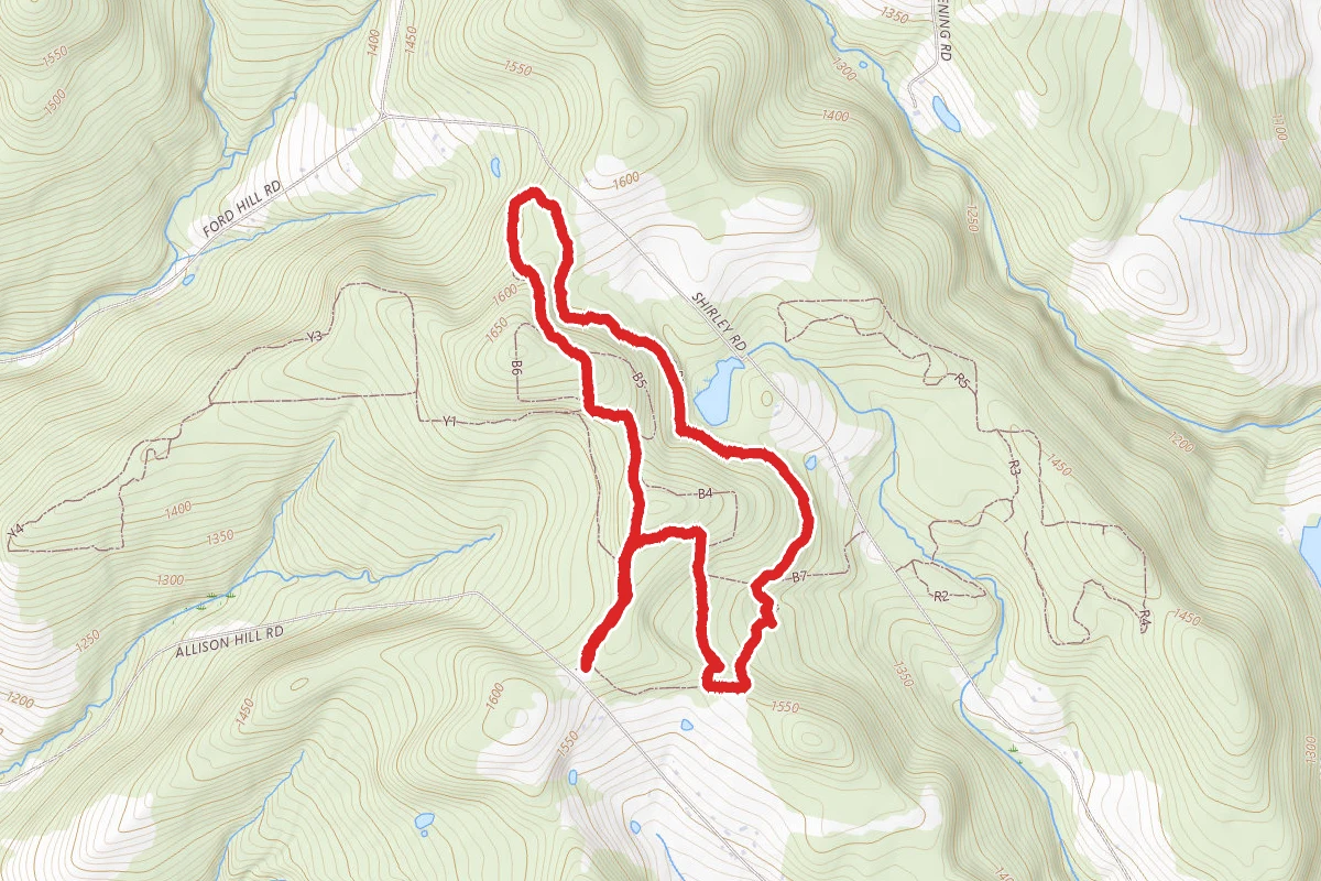 Jenksville State Forest Loop