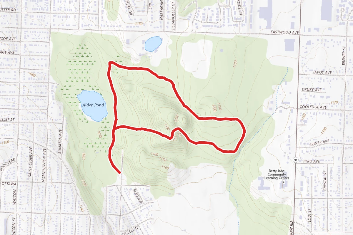 Piney Woods and Alder Trail Loop