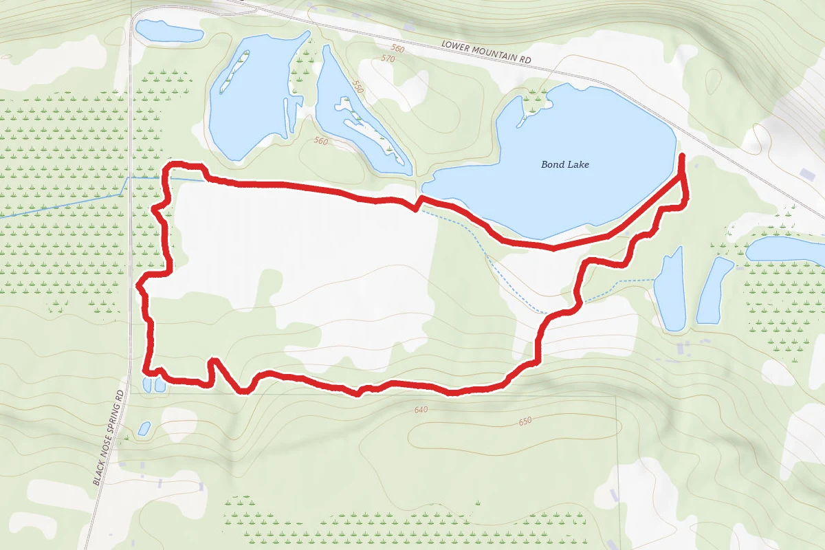 Bond Lake