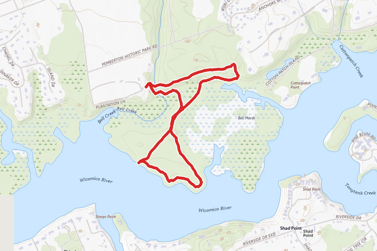 Bell Island Trail to Wetland Walk to Handy Hall Trail