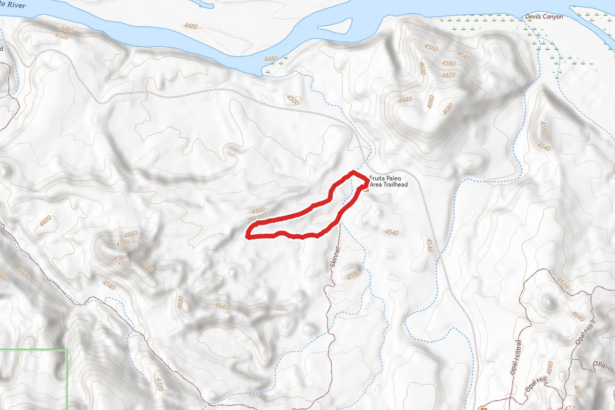 Fruita Paleo Trail