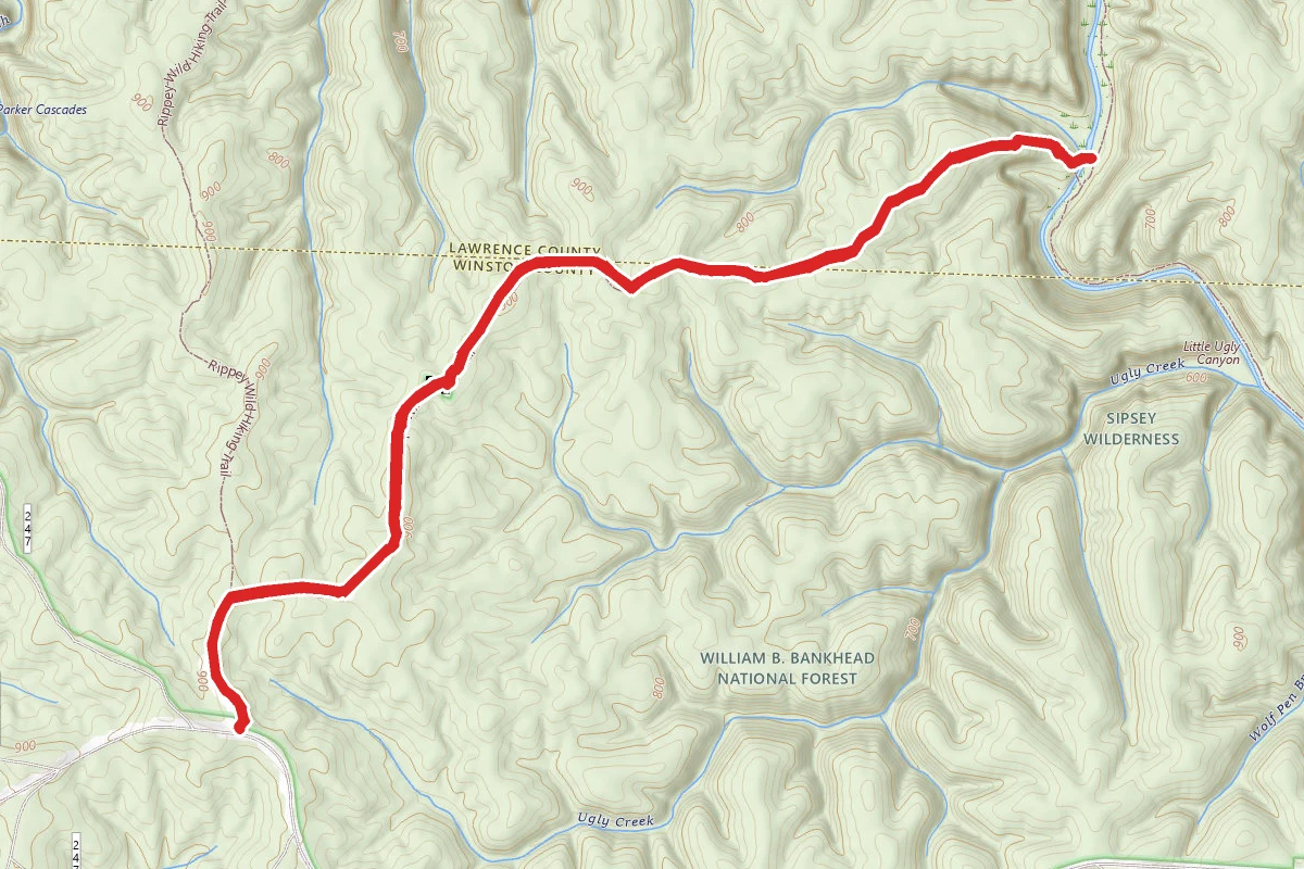Randolph Wild Hiking Trail (202)