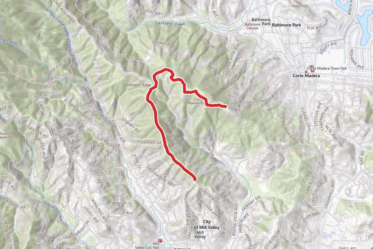 Mayor's Lookout via Corte Madera and Blithedale Ridge Forest Roads