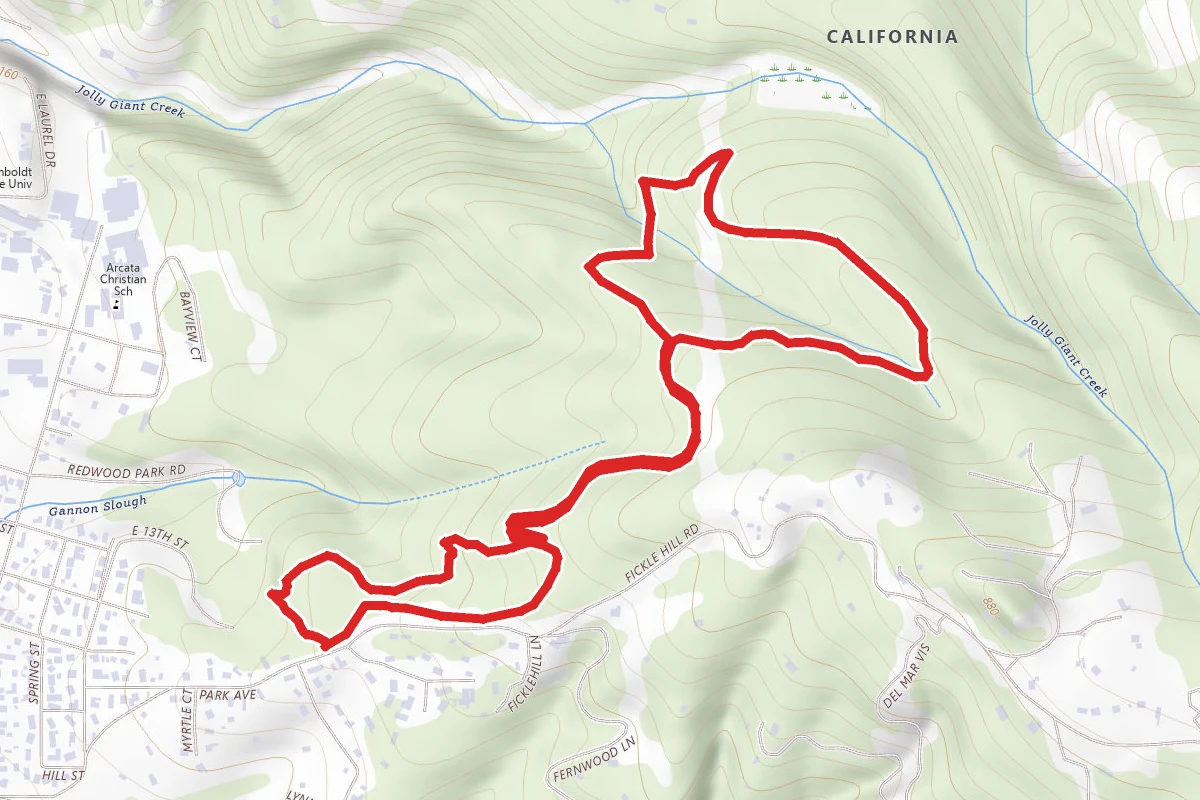 Fickle Hill Grade Trail