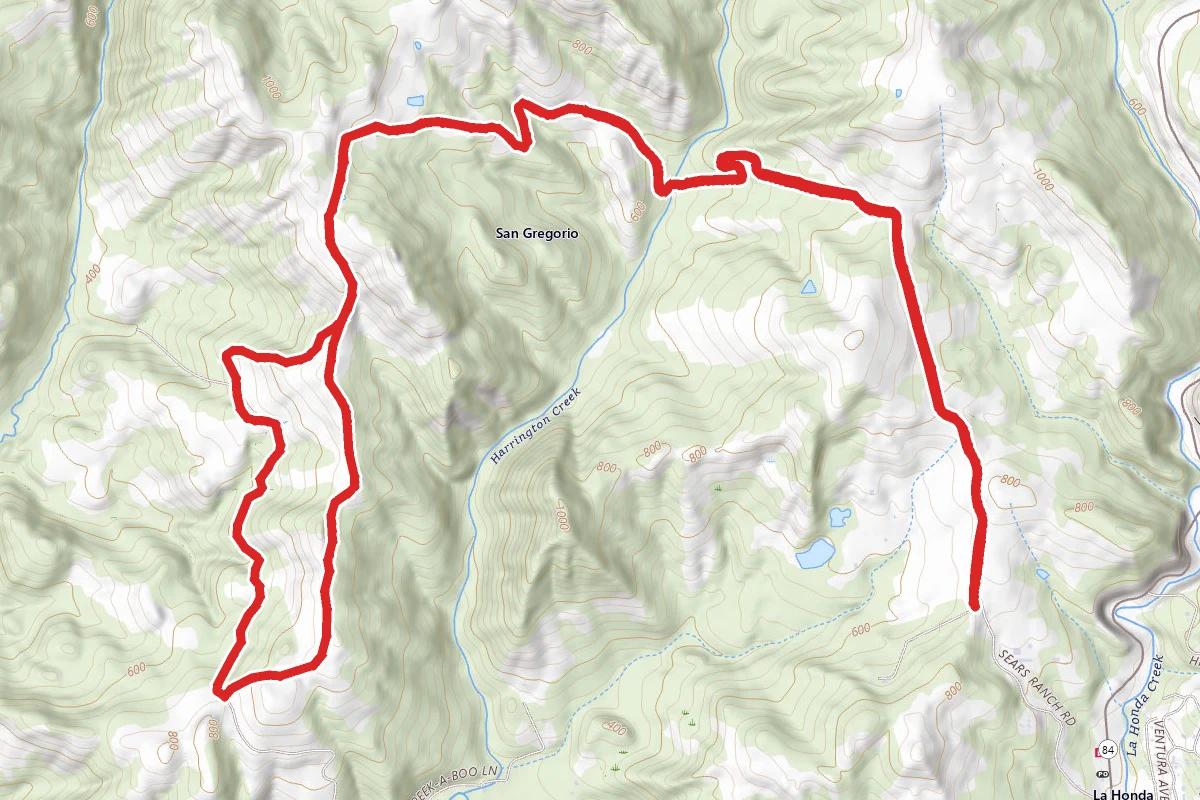 Harrington Creek Trail