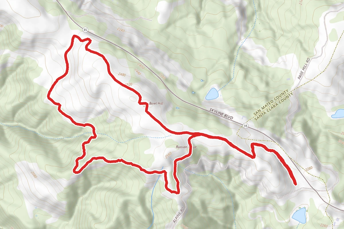 Charquin Trail to Ridge Trail Loop