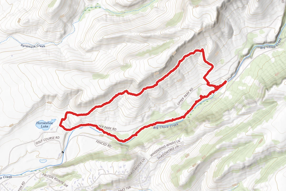 Yahi Trail to Live Oak to Upper Trail