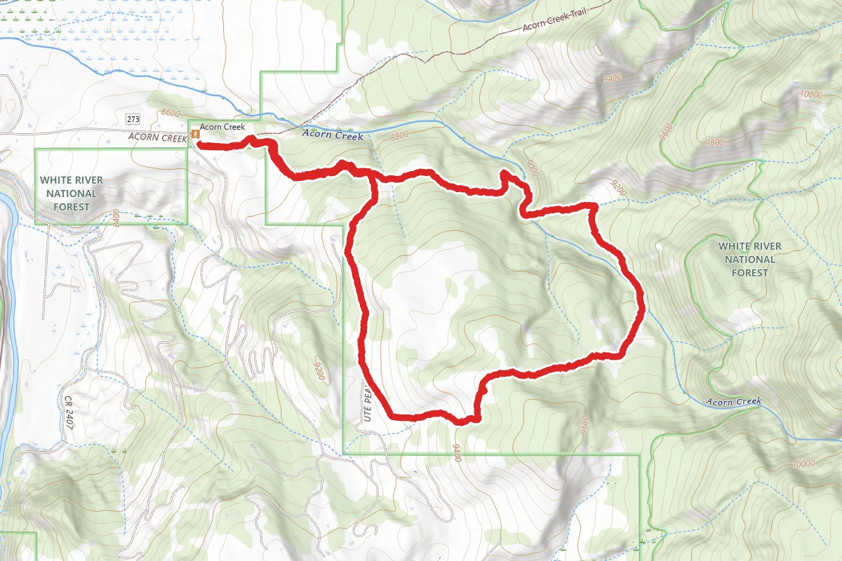 Acorn Creek Loop
