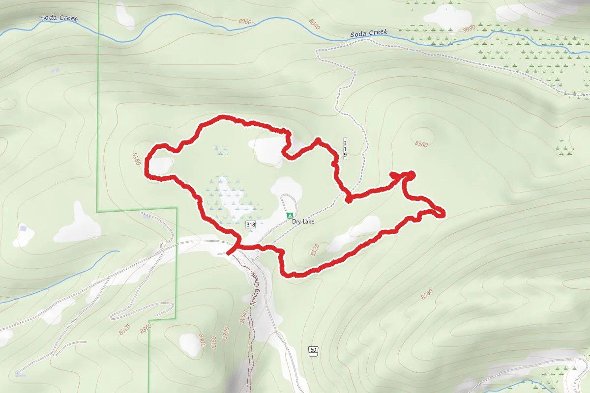 Fiddlehead Trail