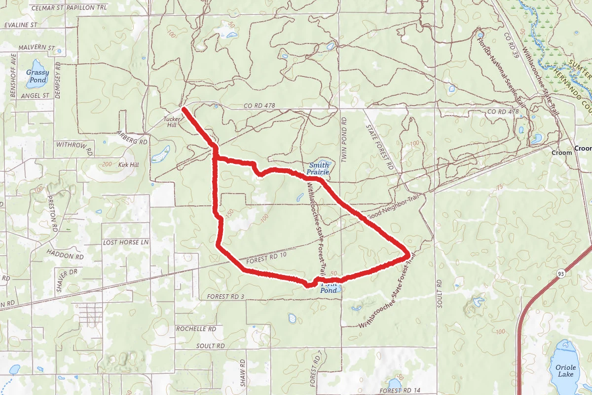 Croom C Loop