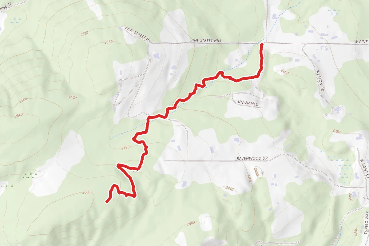 Greta's Segway Trail