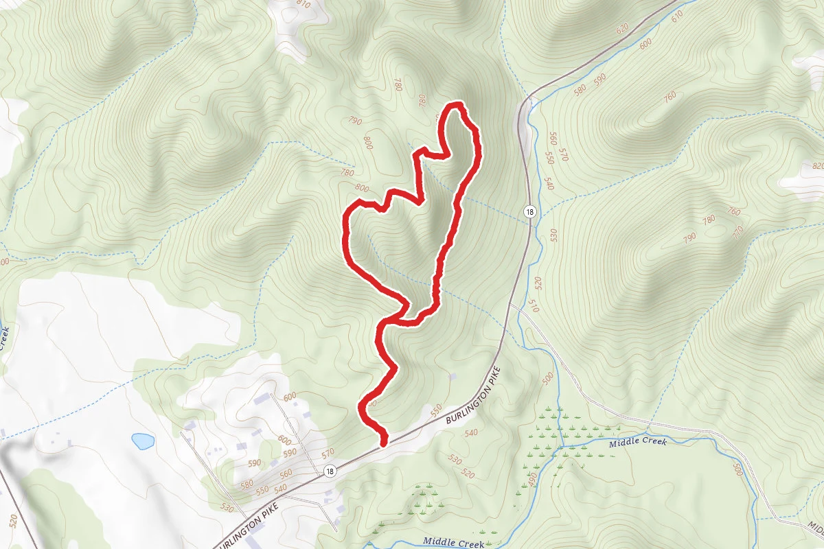 Dinsmore Woods Trail
