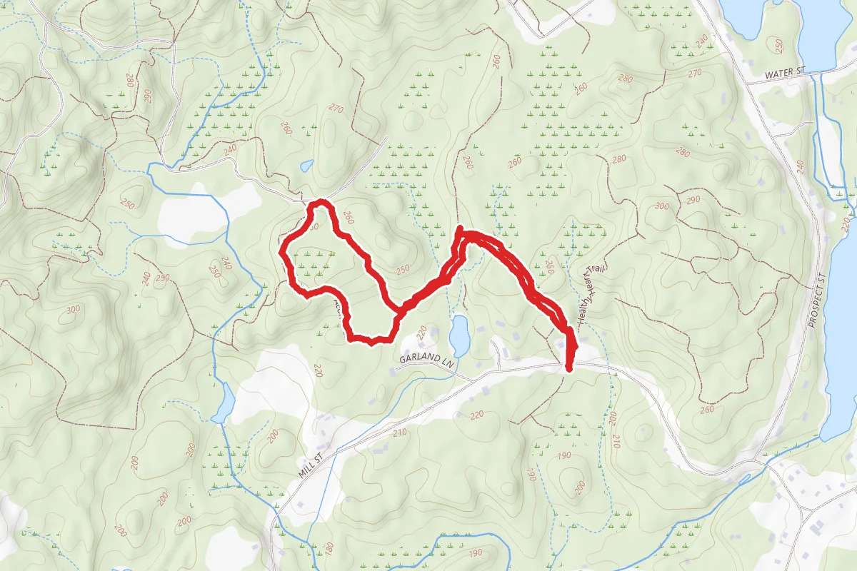 Acron and Wolf Meadow Loop
