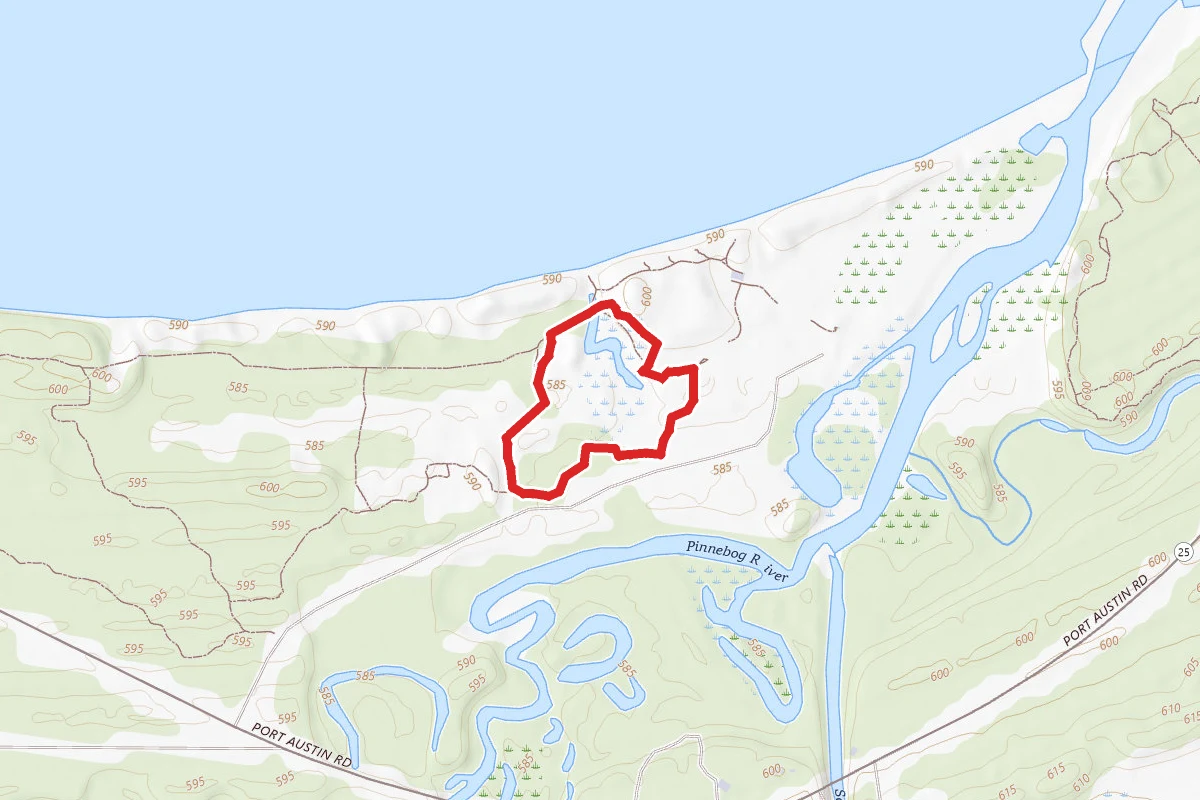 Huron Sand Dunes