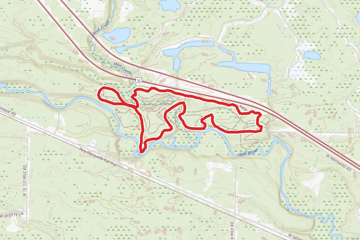 Pine Haven Singletrack