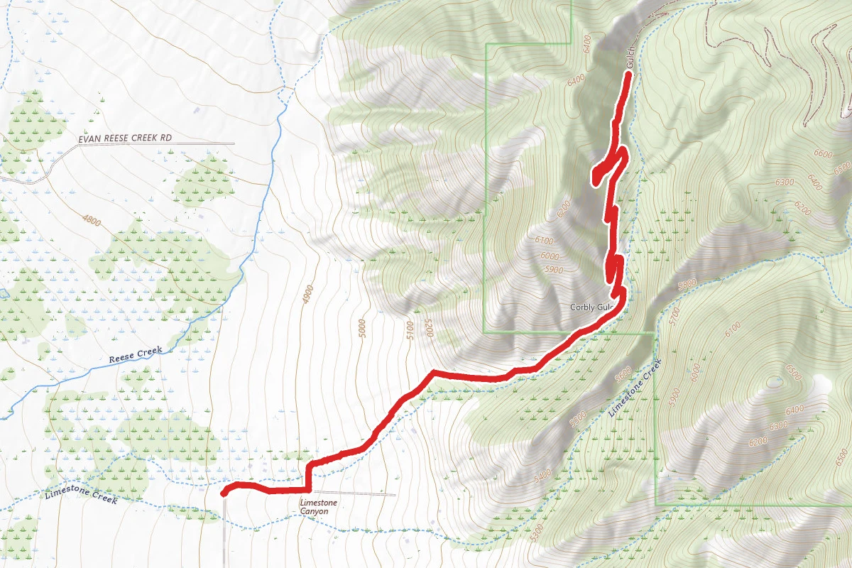 Corbly Gulch Trail