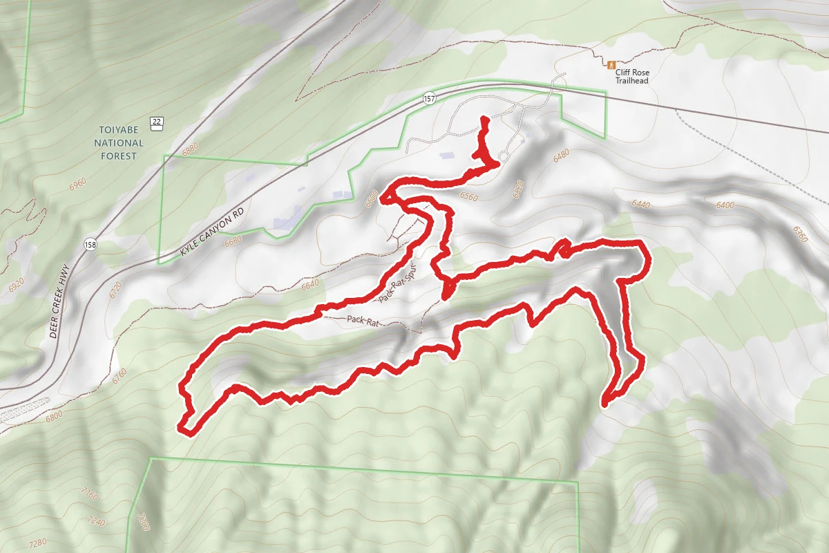 Escarpment Trail Loop