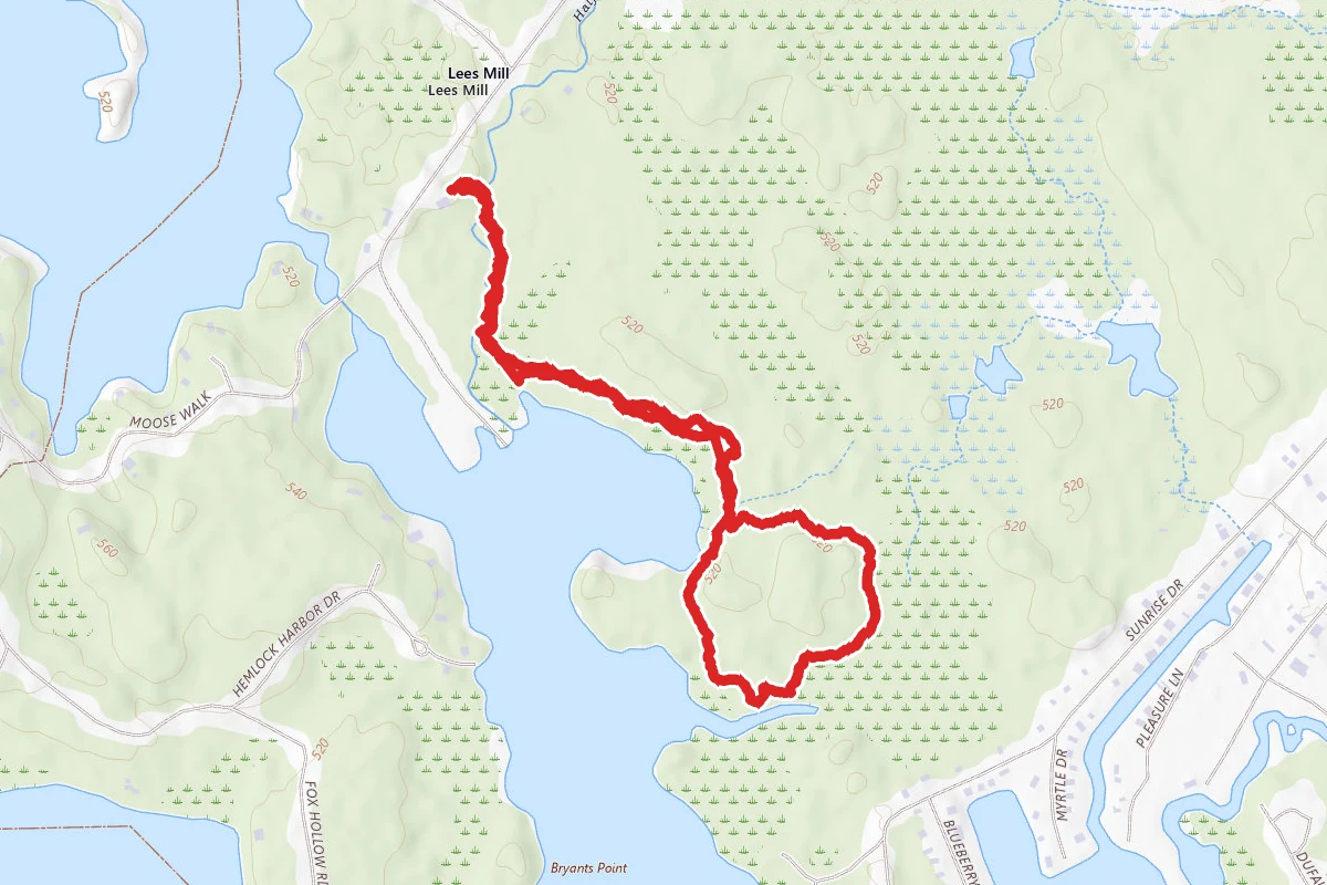 The Loon Center at the Markus Wildlife Sanctuary