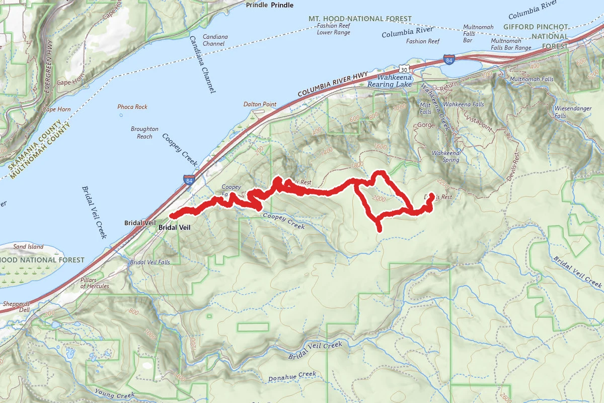 Devils Rest and Foxglove Way East Loop via Angels Rest Trail
