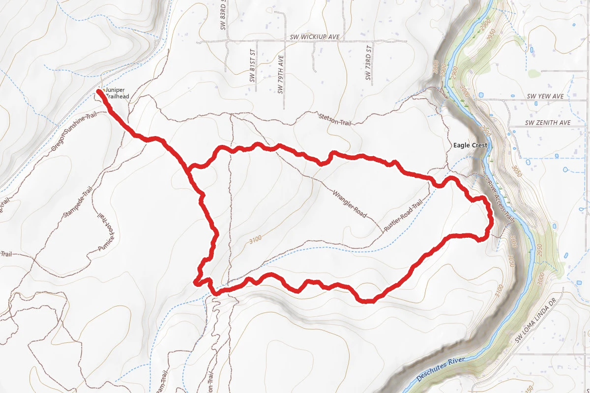 Fat Rabbit Loop Trail