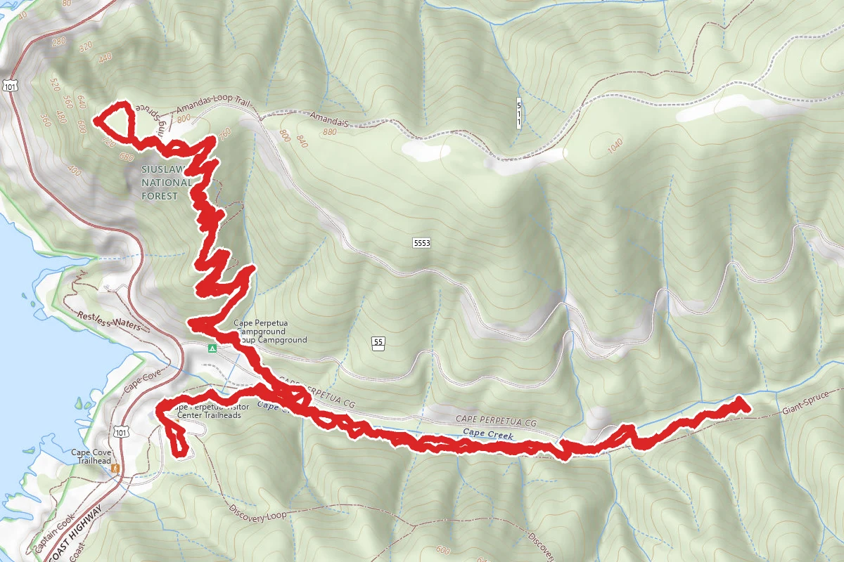 Saint Perpetua and Giant Spruce Trail