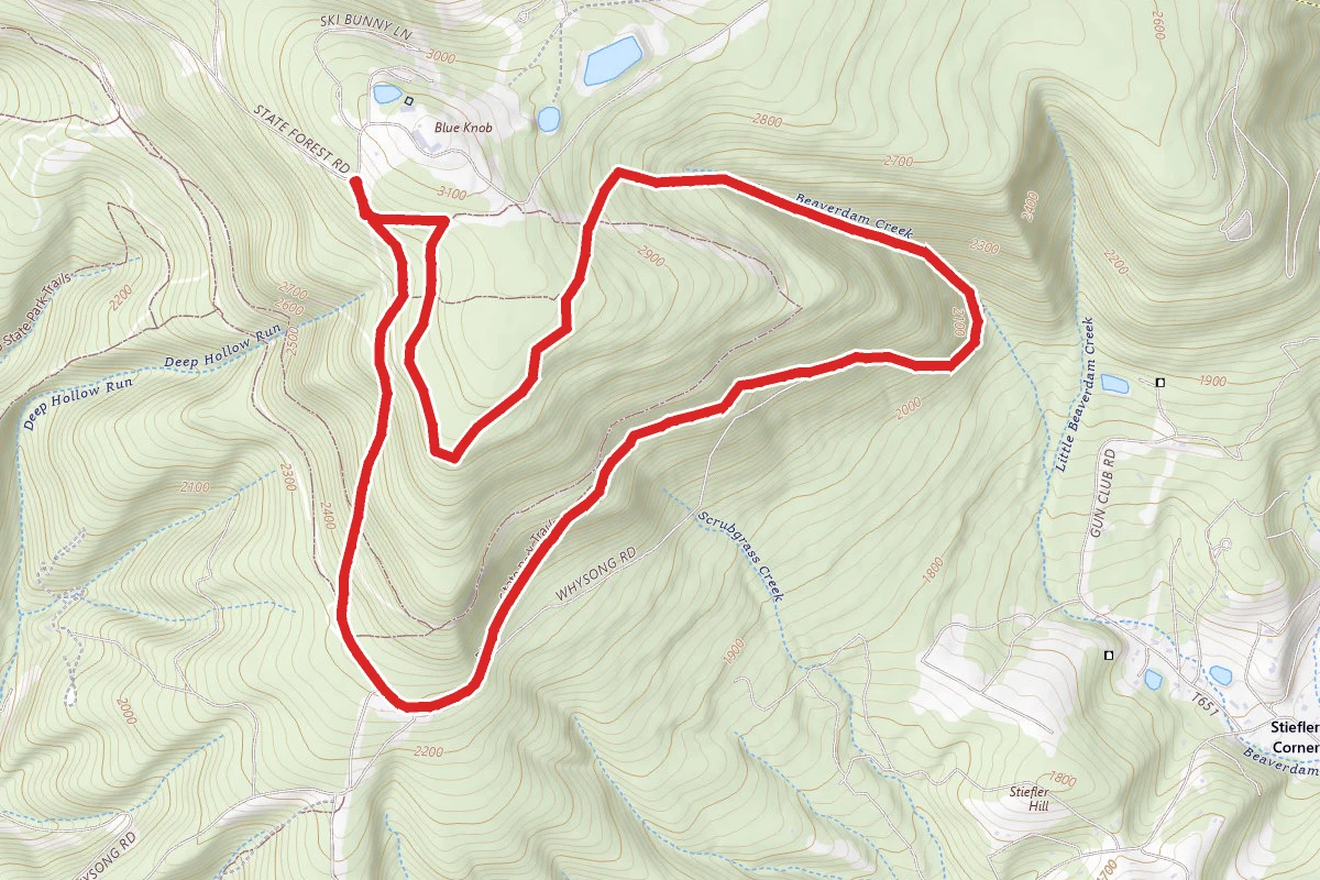Blue Knob Trail