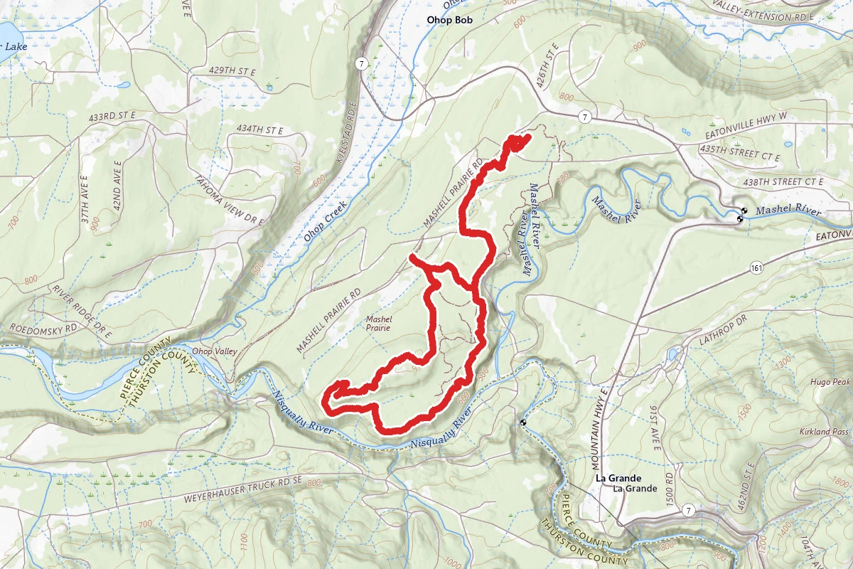Mashel River Loop