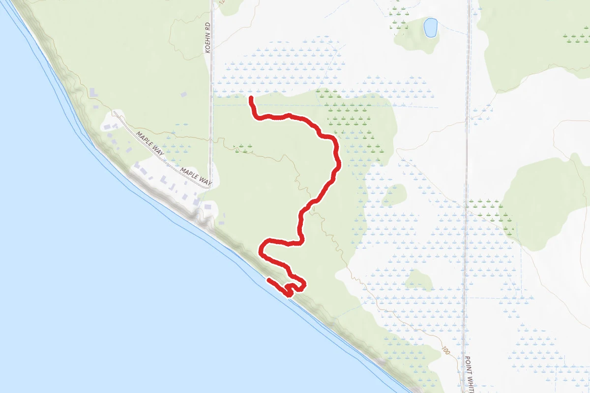 Point Whitehorn Trail