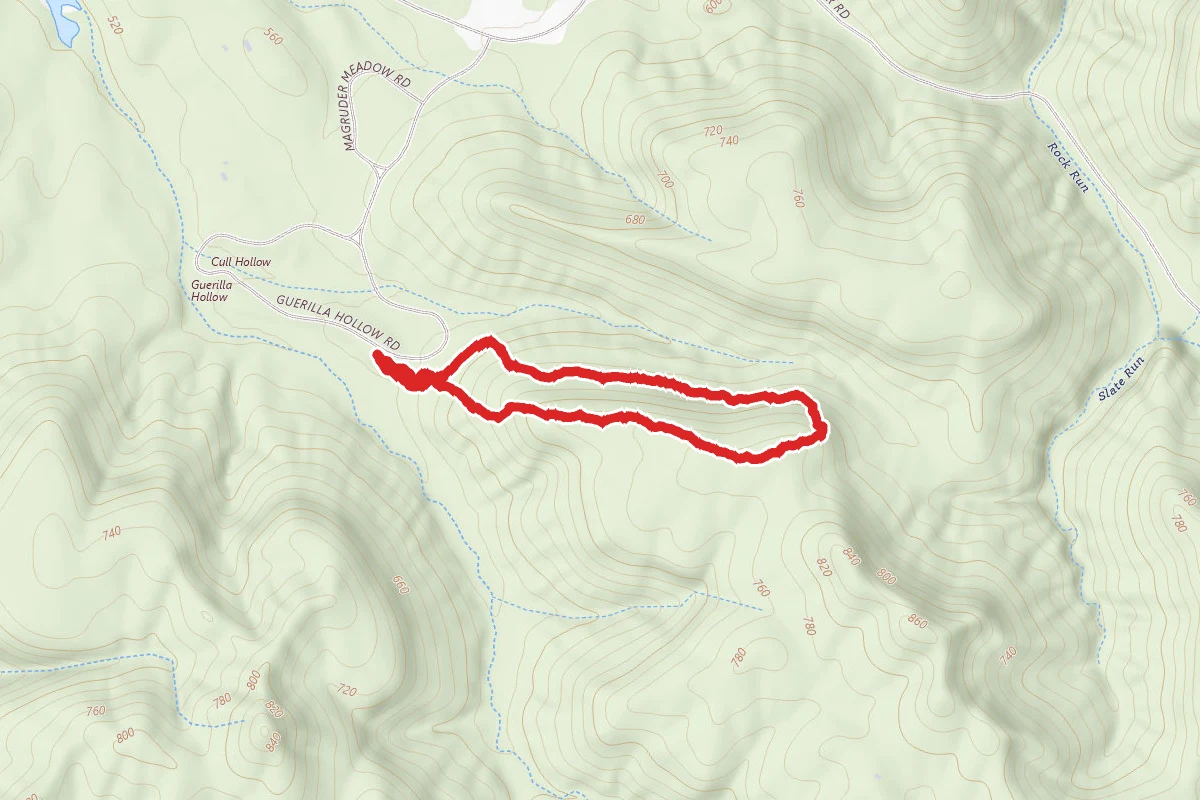 Guerilla Hollow Loop