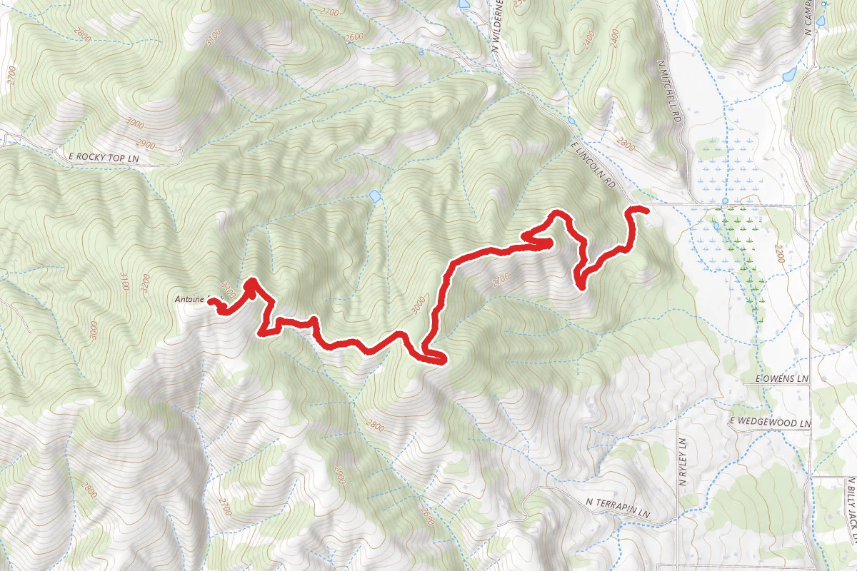Antoine's Summit Trail