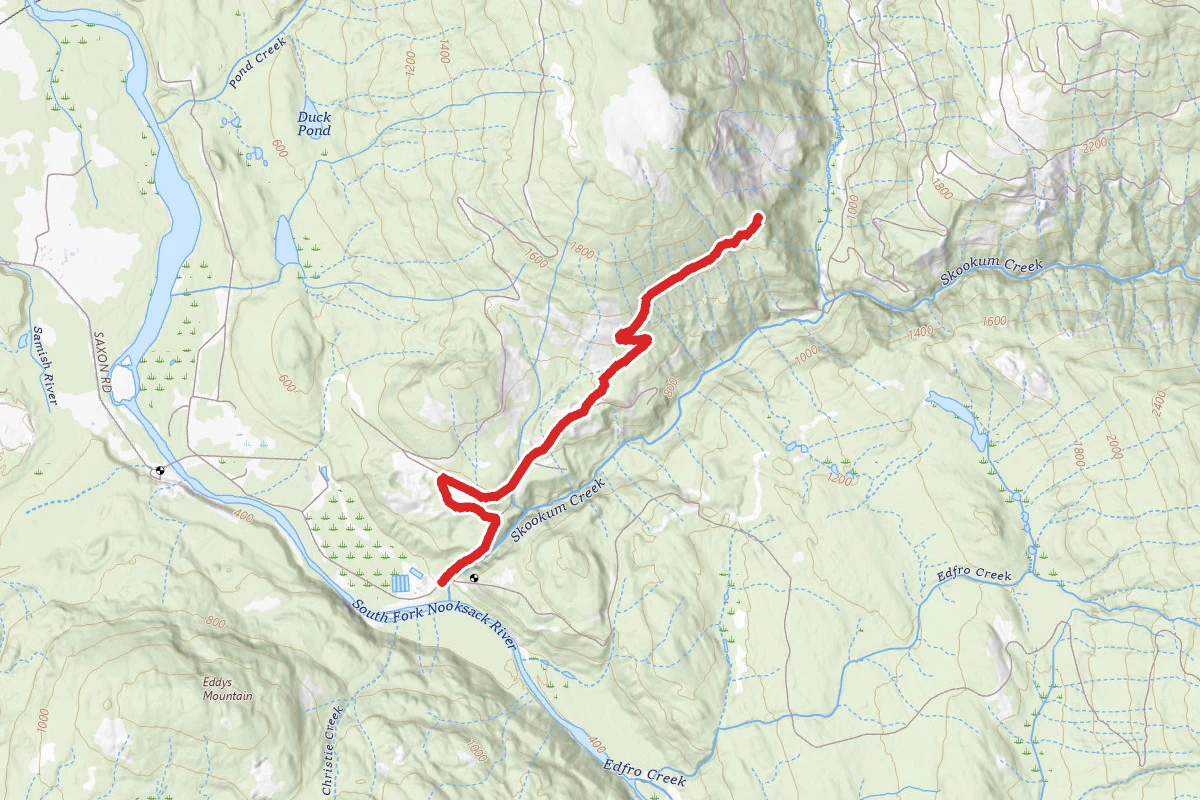 Blue Mountain Logging Road - South