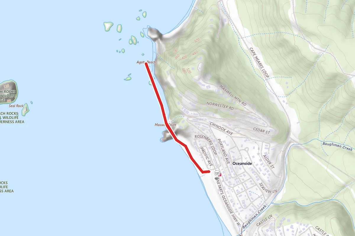 Oceanside Beach Trail